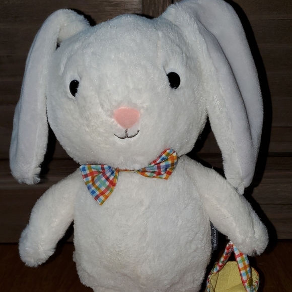 Hallmark Hoppy Easter Bunny with Sound and Motion - Picture 10 of 10